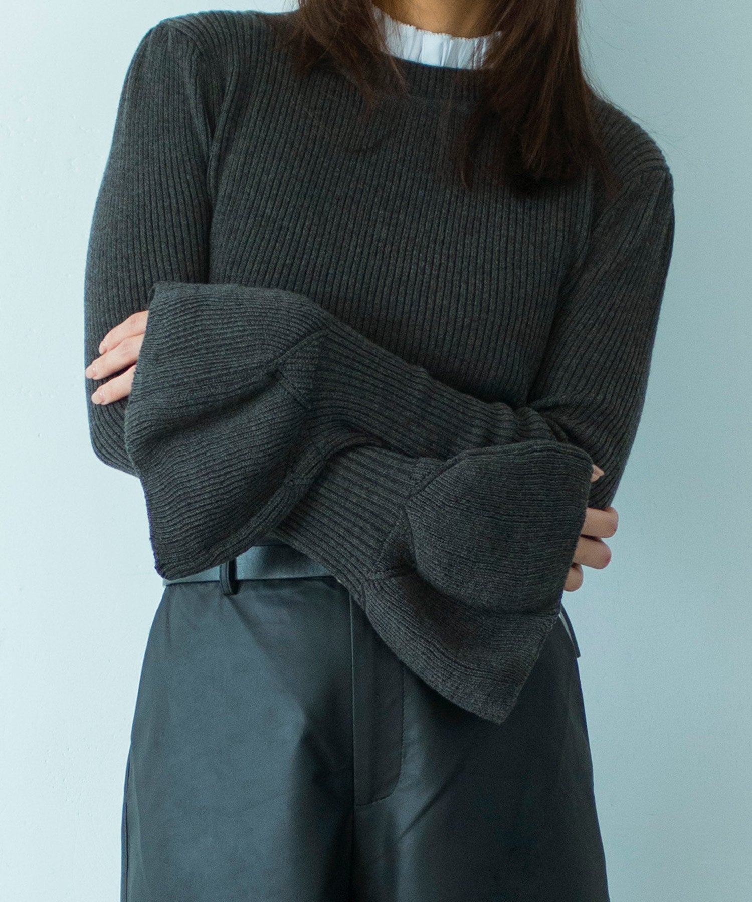 【11月下旬お届け予約商品】2WAYメロウハイネック衿付きニット