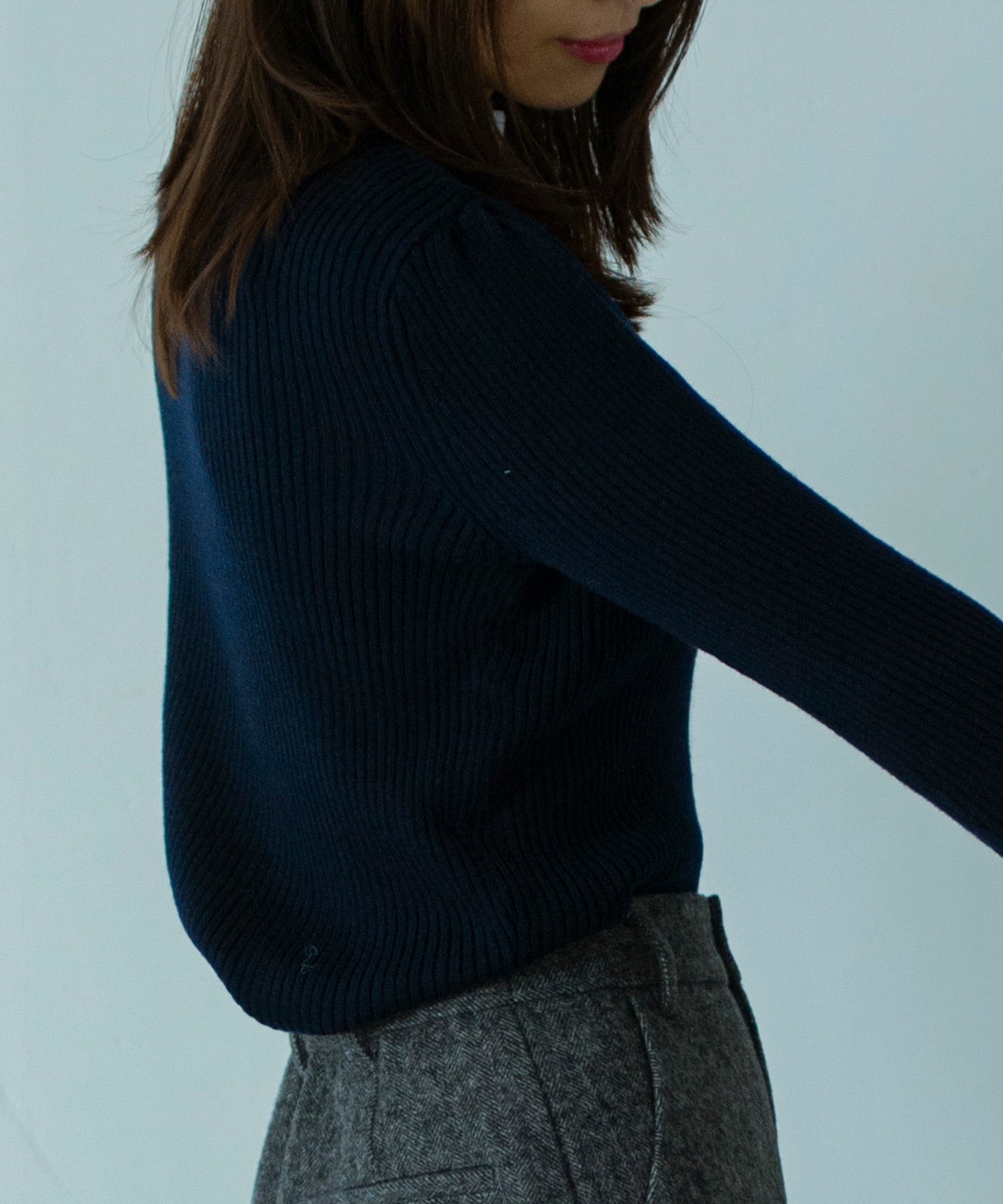 【11月下旬お届け予約商品】2WAYメロウハイネック衿付きニット